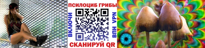 Галлюциногенные грибы Magic Shrooms  Купить где  Барыш 